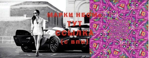 mdpv Краснослободск