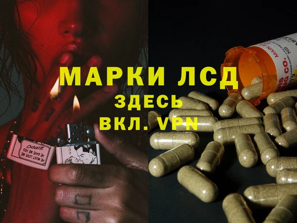 apvp Медвежьегорск