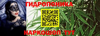 скорость Аргун