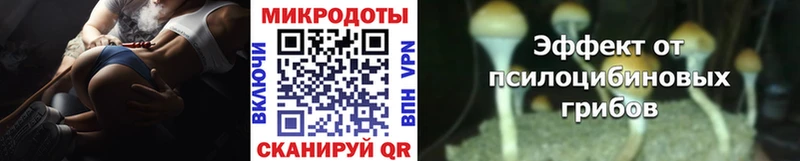 мега маркетплейс  Кувандык  Галлюциногенные грибы MAGIC MUSHROOMS 
