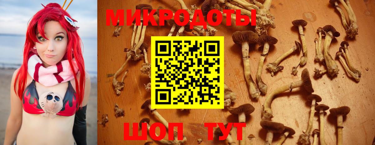 Псилоцибиновые грибы ЛСД  Кувандык 