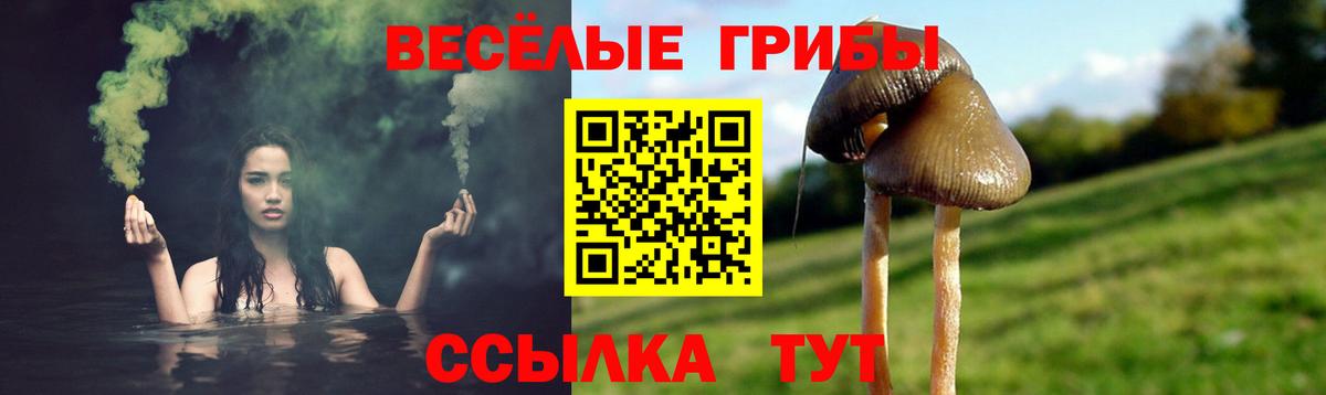 Кувандык  Псилоцибиновые грибы мухоморы  Вход с VPN 